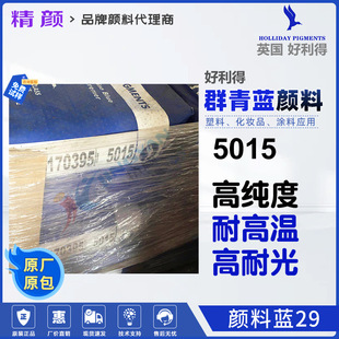 ԭ�b��ƷӢ��HOLLIDAY������Ⱥ��5015 Ⱥ���{���͜؟o�C����{29