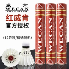 红威肯羽毛球金威肯羽毛球 WECAN威肯威肯羽毛球耐打羽毛球比赛