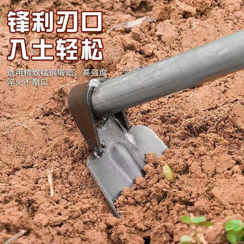 微信图片_20260120134437_13_83.jpg