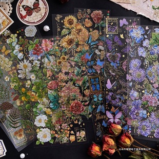 ���w�C���N�����g����ϵ���N�������⻨���֎��ز�