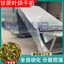 ���ݺ���豸 ����βҶ�����������϶��Ƹ���� ��������Ҷ��ɻ�