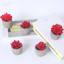 ��������⡿�������ֲ���辰����΢���^��������ֲ���b�Ʒ�[��