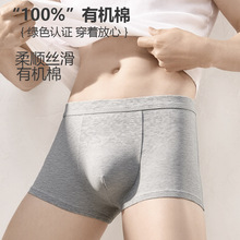 天然有机棉欧美肥佬跨境大版同款超大码男士内裤四平角男短裤衩