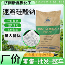 硅酸钠粉末固体泡花碱建筑水泥砂浆添加剂各种模数速溶硅酸钠