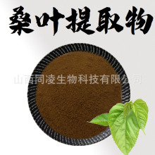 桑叶提取物10:1食品级原料水溶性粉植物萃取浓缩粉末药食同源现货