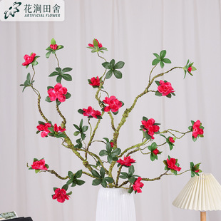 10�^���N�����滨 ��ʽ��ˇ�Ҿӿ͏d��߅���b[�� �l��֦�ٻ�