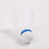 Nylon badminton nylon plastic ball plastic badminton hit nylon ball