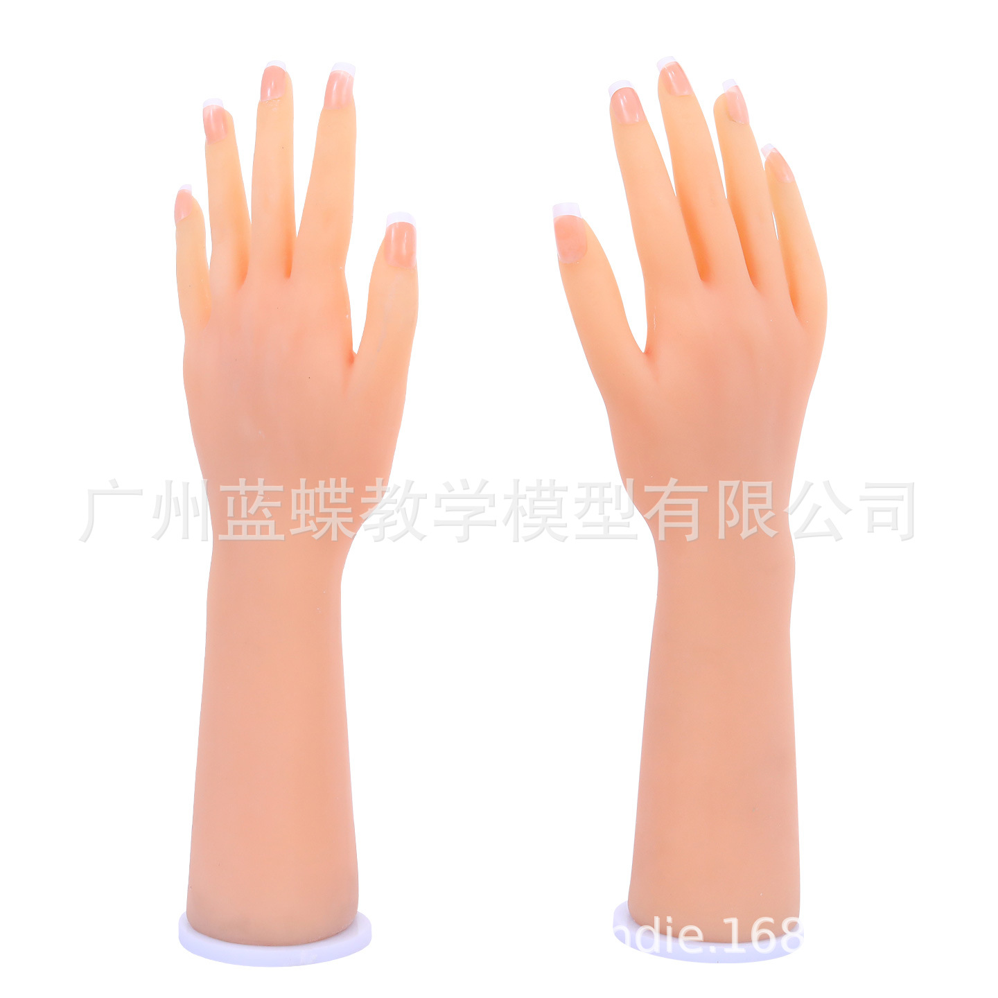 ����轺��ģ����������չʾֱ������������ϰ�����Ů����ҵ����