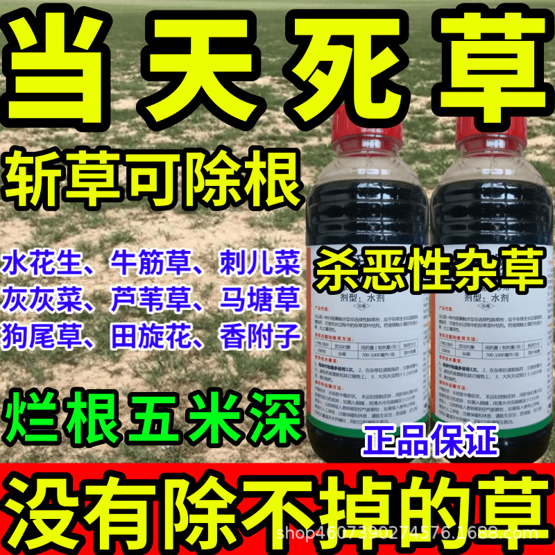 当天草全死强力斩草除根杂草一扫光草铵膦敌草快草甘膦大全高