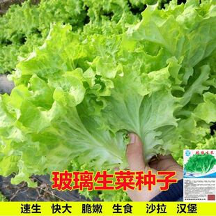 �������˷N���ļ������˷N���߲˲˷N���̨ͥԺ���Դ��＾�ײ��N