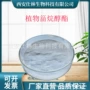 新资源植物食品醇酯