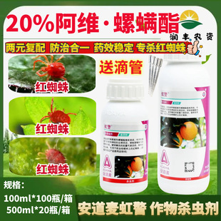 �������羯���S���\�����S�������\���t֩���¼����٘��rș���x��