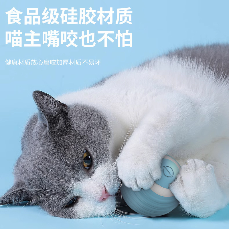 宠物引力智能滚滚球猫咪玩具解闷自嗨逗猫棒小猫充电逗猫球 新品|undefined