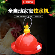 养殖设备养鸡水壶鸡自动养鸡鸭鹅用喂水器喂鸡用品饮水器鸡