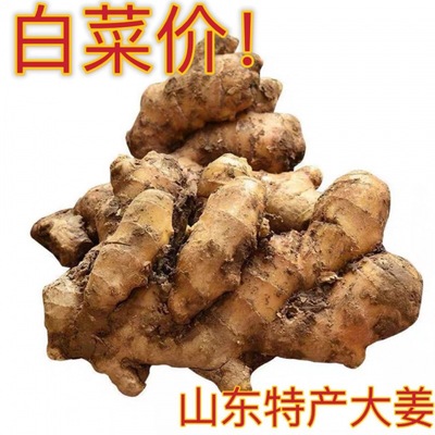 Shandong Ginger ginger ginger Ginger fresh The month Mastering Fresh ginger 25 On behalf of wholesale