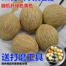菩提子原籽白玉菩提根原料手串链斤个大散珠高密戒指108颗绕
