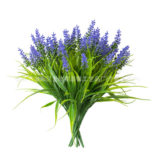 �羳���R�d���N����7����޹�²����컨�Ҿӻ�c�b�����