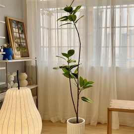 仿真树枝绿植橡皮树榕客厅装饰仿生假植物轻奢花落地摆件一件代发