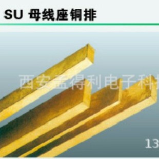 Shanghai Lepu SU Busbar Holder Copper Row 20X5 Electroplating Officially Authorized
