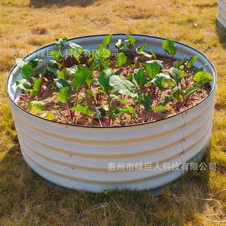 圆形Garden Beds金属种植床绿化种植箱栽培床种菜箱绿化花箱花坛
