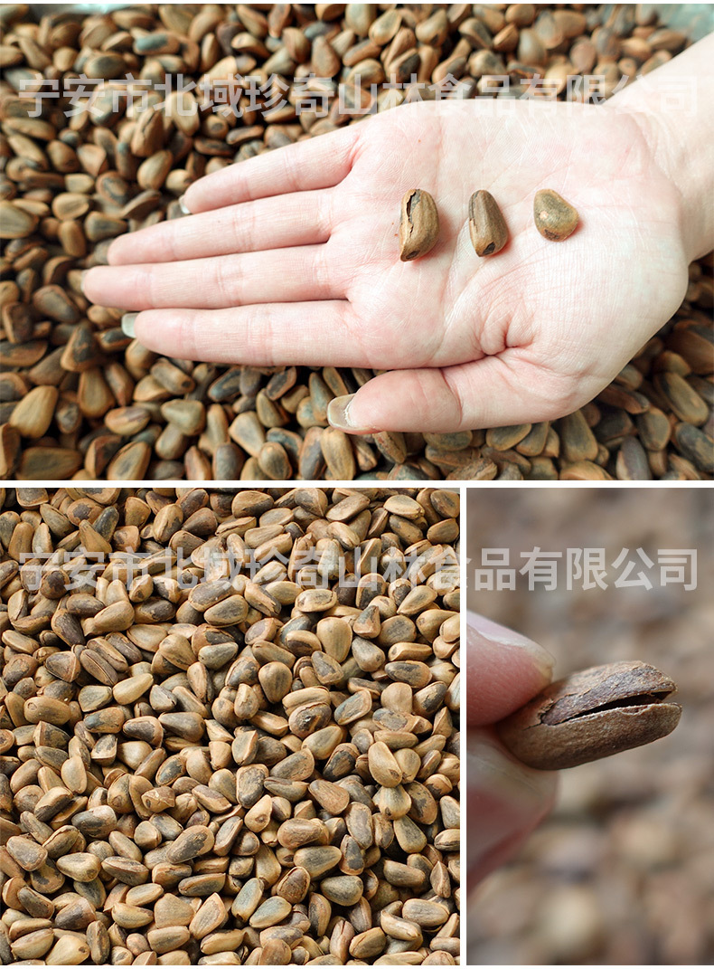 物理详情页_04.jpg