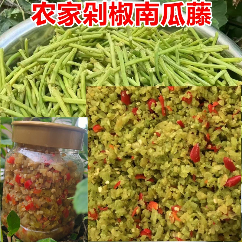 Самодельные маринованные овощи из свежей тыквенной лозы, острые и кислые маринады, фирменные блюда из Синьнинга, Шаоян, Хунань, подходят в качестве гарнира.