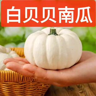 ��ؐؐ�Ϲ����r�Fժ��ѩ������Ϲ�ܛŴ�㌚���oʳ