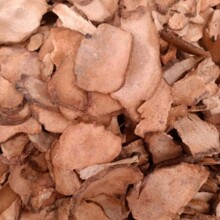 ��������ș�����l�����߮a��ɢ�b��؛�����߸��NҎ�� ����ă�