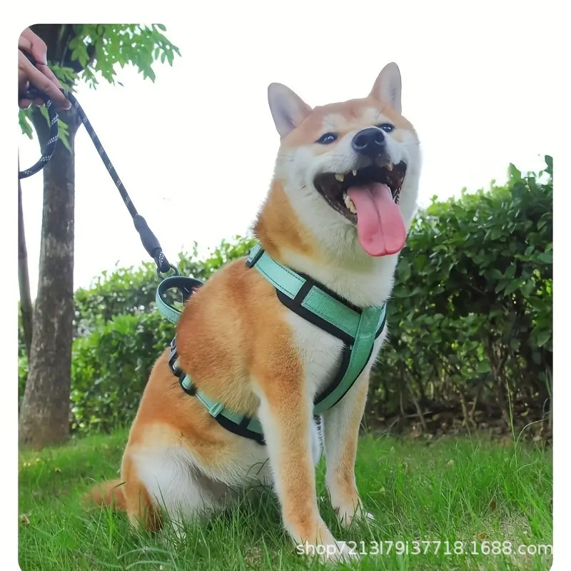 Nuevo tipo de cuerda de tracción de perros de dos piezas de cinturón de pecho para perros pequeños y medianos para caminar cuerda de perro en stock al por mayor