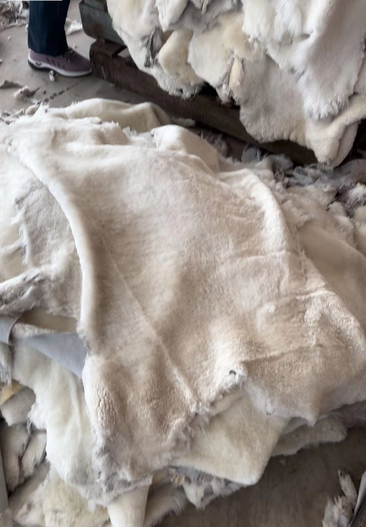 微信图片_20240623214150