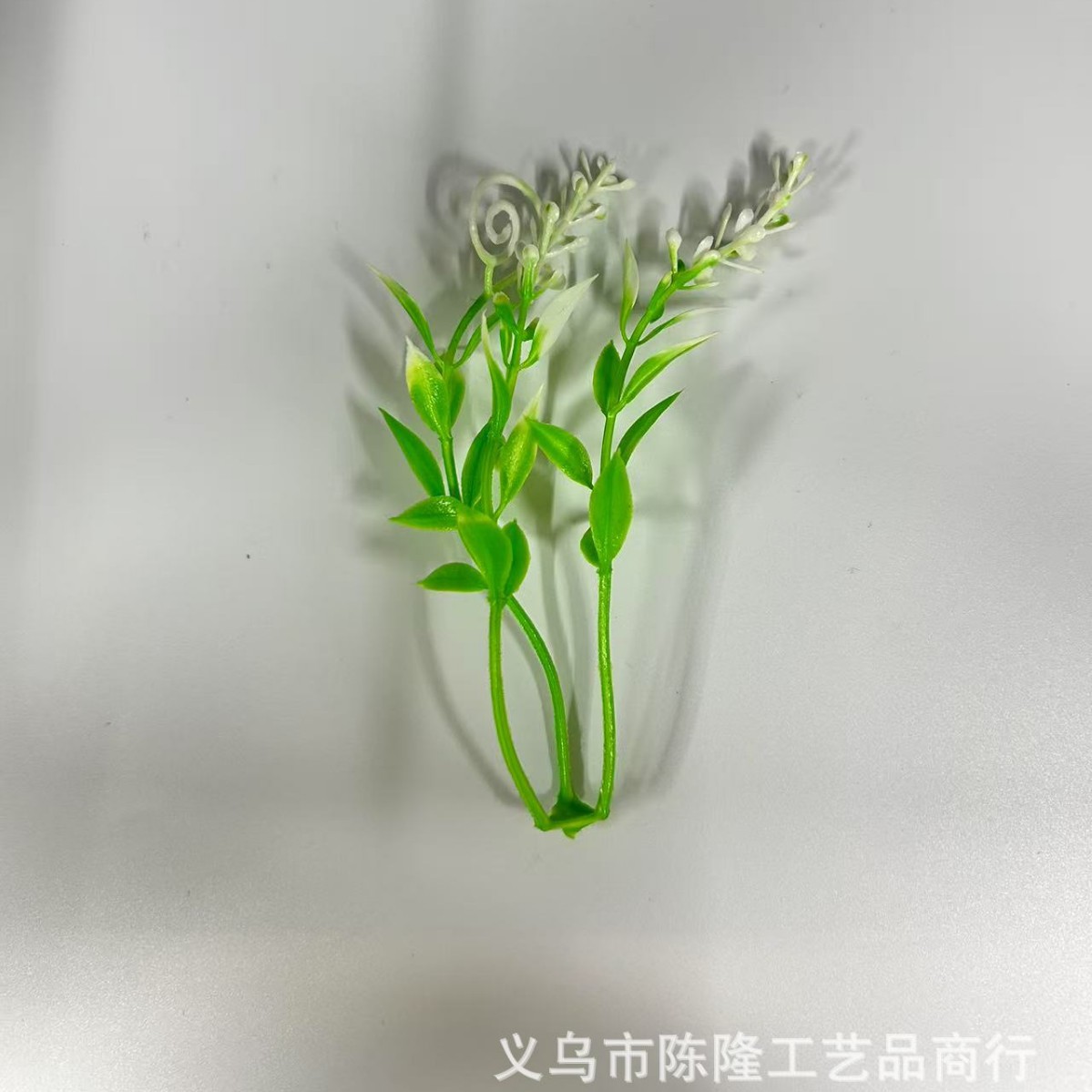 2025-03-19 17:50:17.jpg