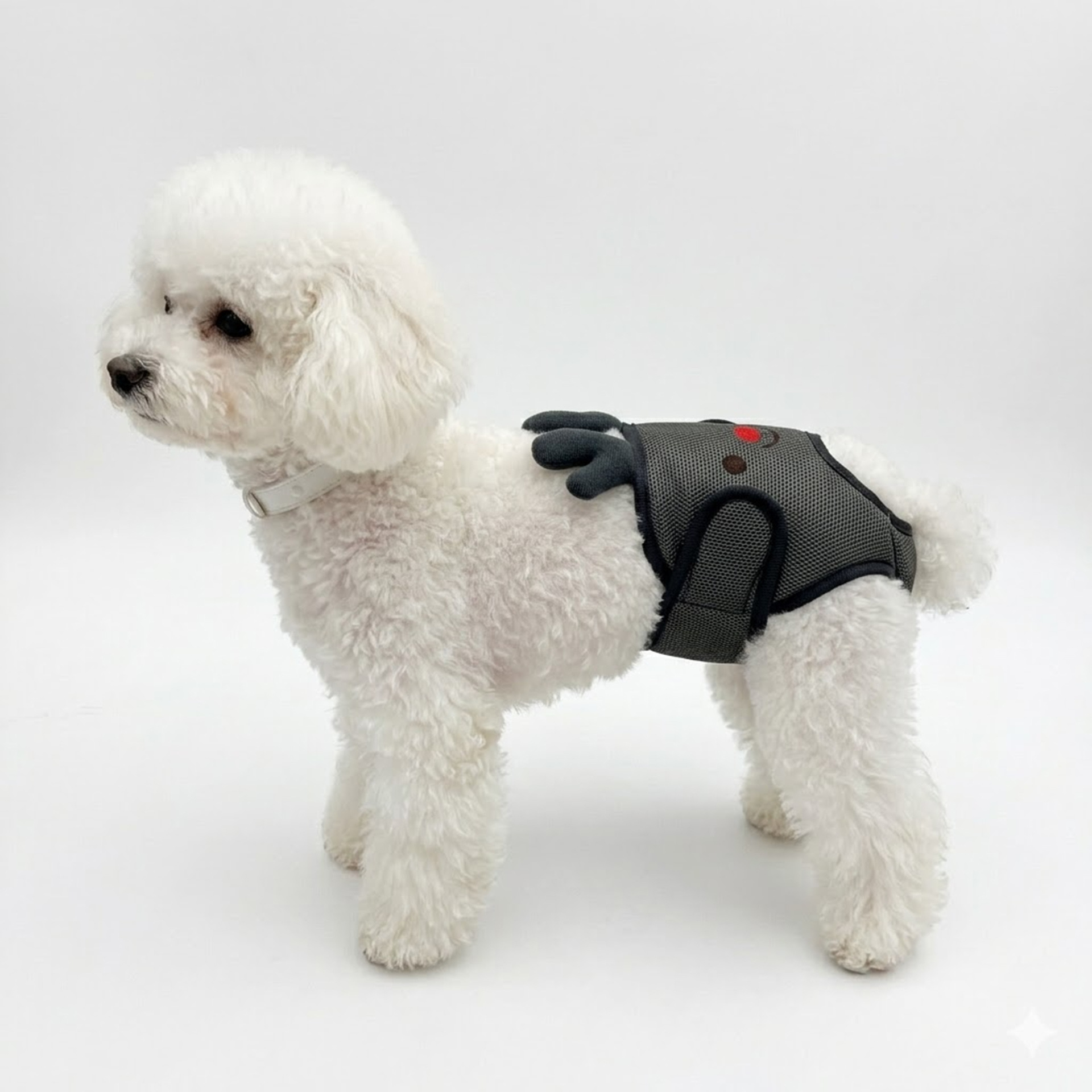 Pet Menstrual Pants for Physiological Periods, Anti-Dirt and Leak-Proof, Comfortable, Breathable, Washable, Outdoor Anti-Harassment Shorts for Small and Medium-Sized Dogs