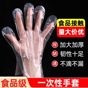 Disposable Gloves Wholesale Film Extended and Thickeneded Pe Plastic Takeaway Catering Household Food Grade Factory Direct Sales