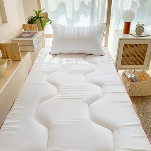 Essential for the Start of School: Soybean Anti-Pressure Memory Foam Mattress Pad for Bedroom Student Dormitory Single Sponge Mattress, Silent