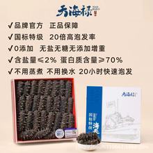 20ݰl캣Hؼˮٰl|̅ЋD