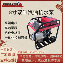 瑟维尔 8寸双缸汽油机水泵 防汛应急 应急救灾/国债/电网资质齐全