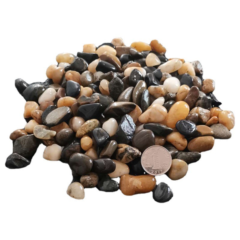 Tanque de tortuga con mesa de secado Tanque doméstico de plástico para tortugas Tortuga mascota pequeña caja doméstica portátil con tapa