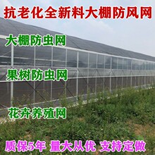 大棚防虫网批发瓜果蔬菜防蚊网蚂蚱网防柳絮防果蝇网纱网防虫神器