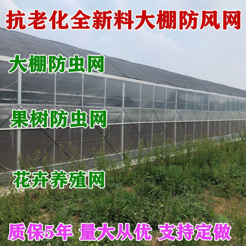 大棚防虫网批发瓜果蔬菜防蚊网蚂蚱网防柳絮防果蝇网纱网防虫神器