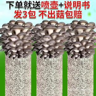 Guaranteed Mushroom Growing Kit for Home Cultivation of Edible Fungi, Including Mushroom Growing Kits and Oyster Mushroom Strains