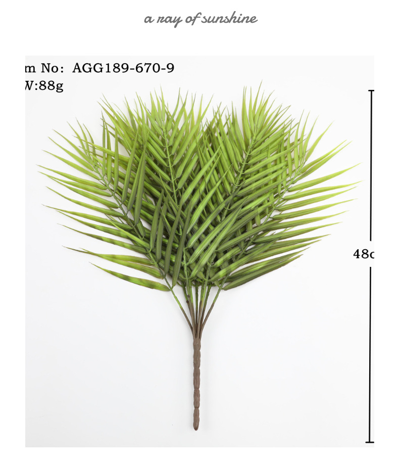 模特展示3 (7).jpg