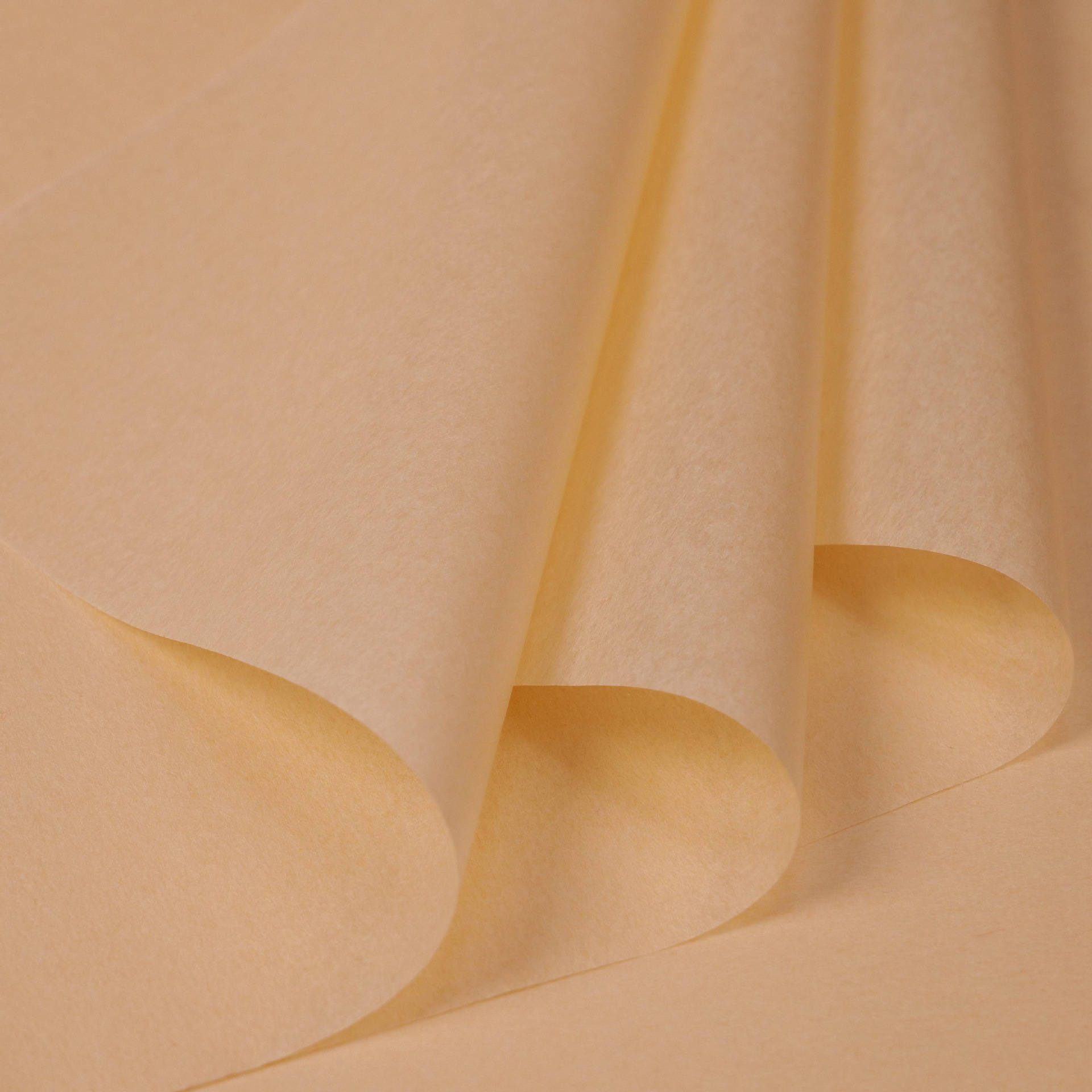 단색 연근분말 36장