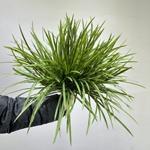 �����m����ܛ�bֲ��Gֲ�ز��쾰�b����켚���m���~ˮ�ݷ����