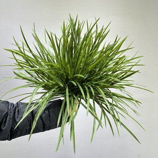 �����m����ܛ�bֲ��Gֲ�ز��쾰�b����켚���m���~ˮ�ݷ����