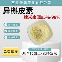 异槲皮素 95%-98% 槐米提取物异槲皮苷现货供应100g/袋样品包邮