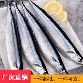 秋刀鱼 鲜 新鲜冷冻深海海鲜烧烤食材日式秋刀鱼鲜活水产海鱼