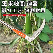 �i�砵���ݵ�������������r�������ո�砵��_·�z�ݏ������R�d