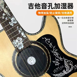 弹拨类乐器;乐器配件;吹奏类乐器