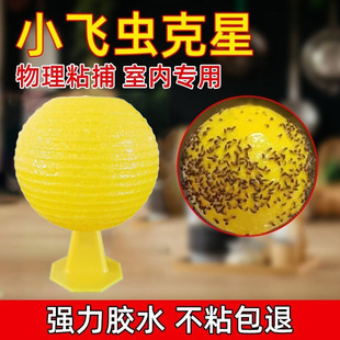 Fruit Fly Trap, Small Flying Insect Killer, Indoor Mosquito Killer, Kitchen Midge Sticky Insect Ball to Attract Flies