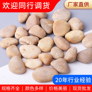 �Sɫ�Ւ��Z��ʯ �~���쾰ͥԺ���^�Sɫ�����껨ʯ�@���·ʯ�^